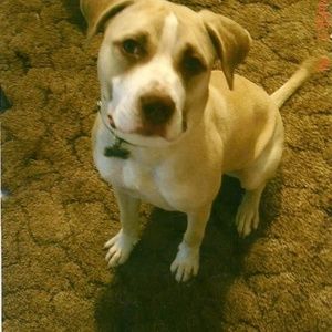 Meet your Posher, Angel